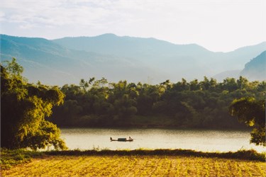 Truyện ngắn “Mầm sống”: Câu chuyện xúc động về tình người

